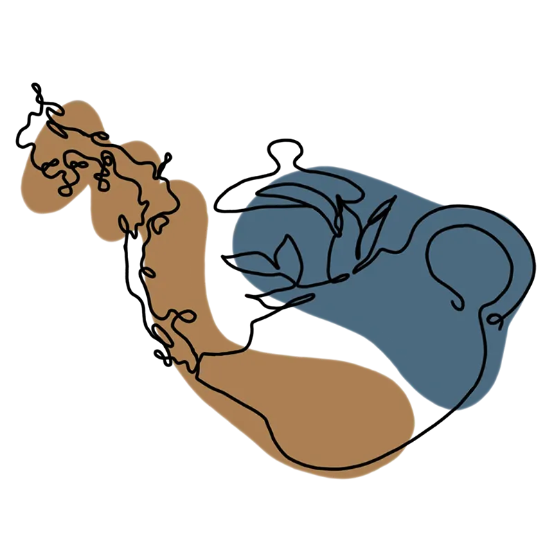 Line-Teapot-Slide