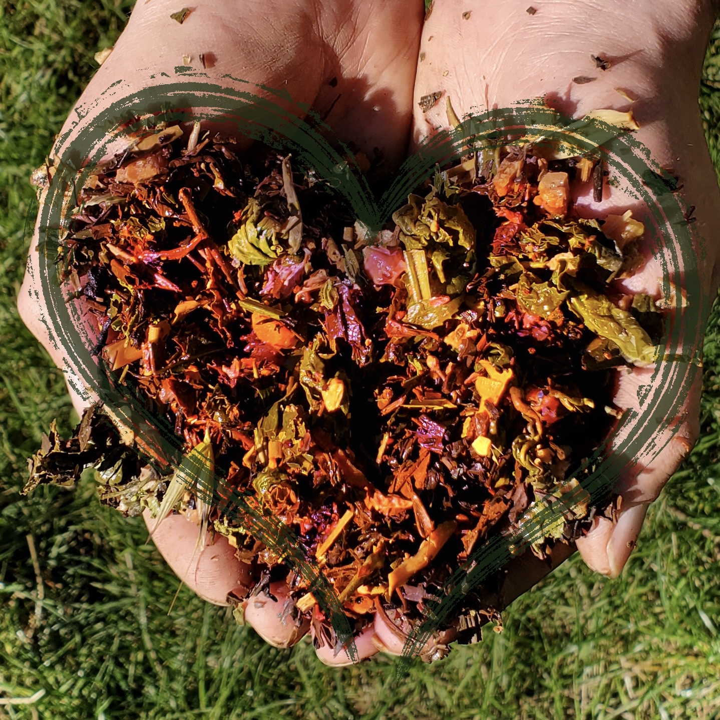 WAYS TO REUSE TEA LEAVES Cup of Tea Tea House Clackamas, OR