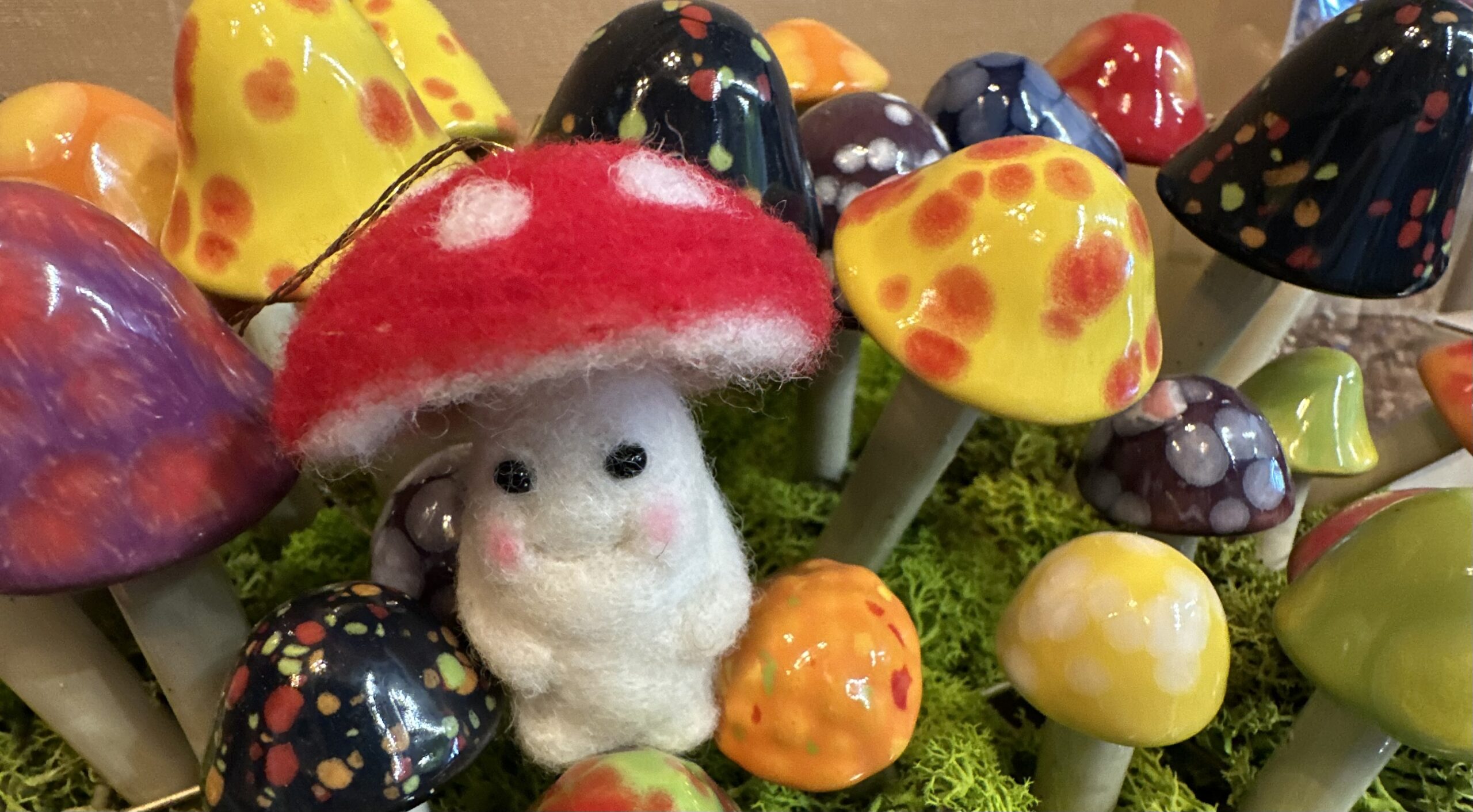 FC 20231014 1958 scaled