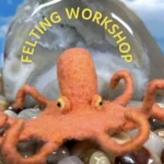 240221 Octopus4 Featured