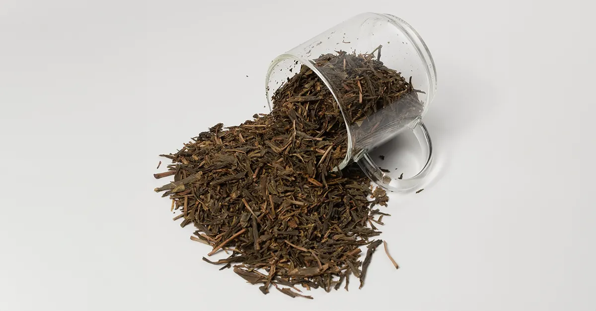 Hojicha Japan Loose Leaf Tea - Cup of Tea - Clackamas Oregon