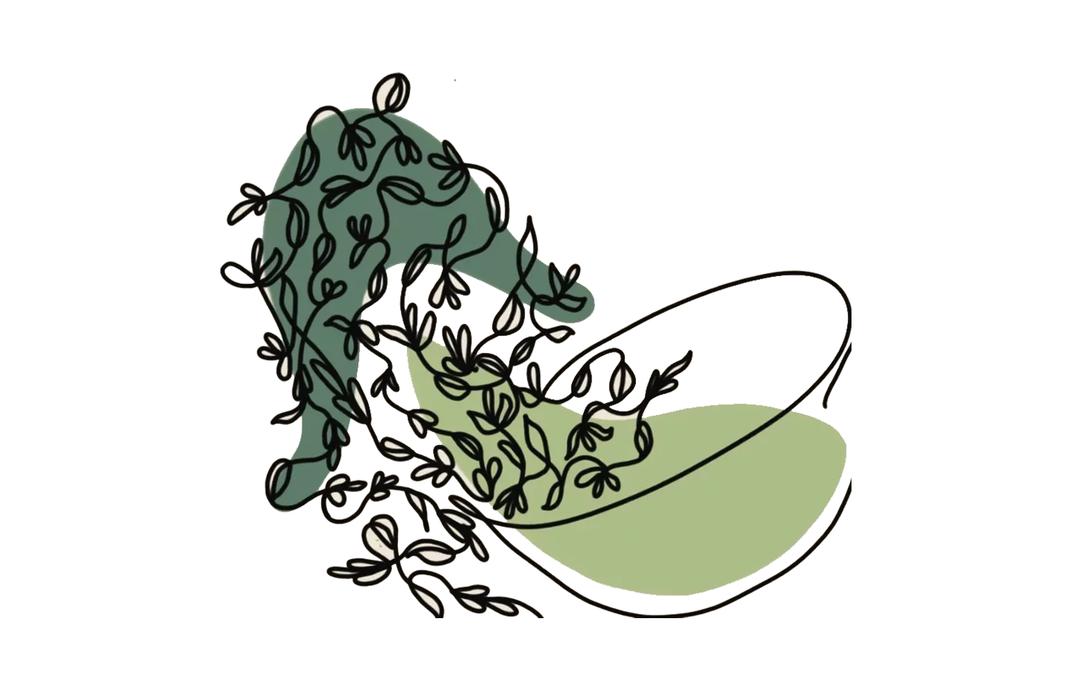 Clairvoyance Myth of Tea - Green Tea - Cup of Tea Clackamas