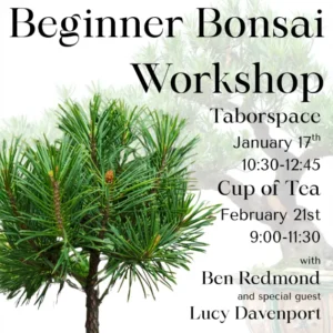 bonsai workshop