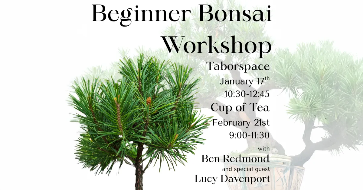 bonsai workshop