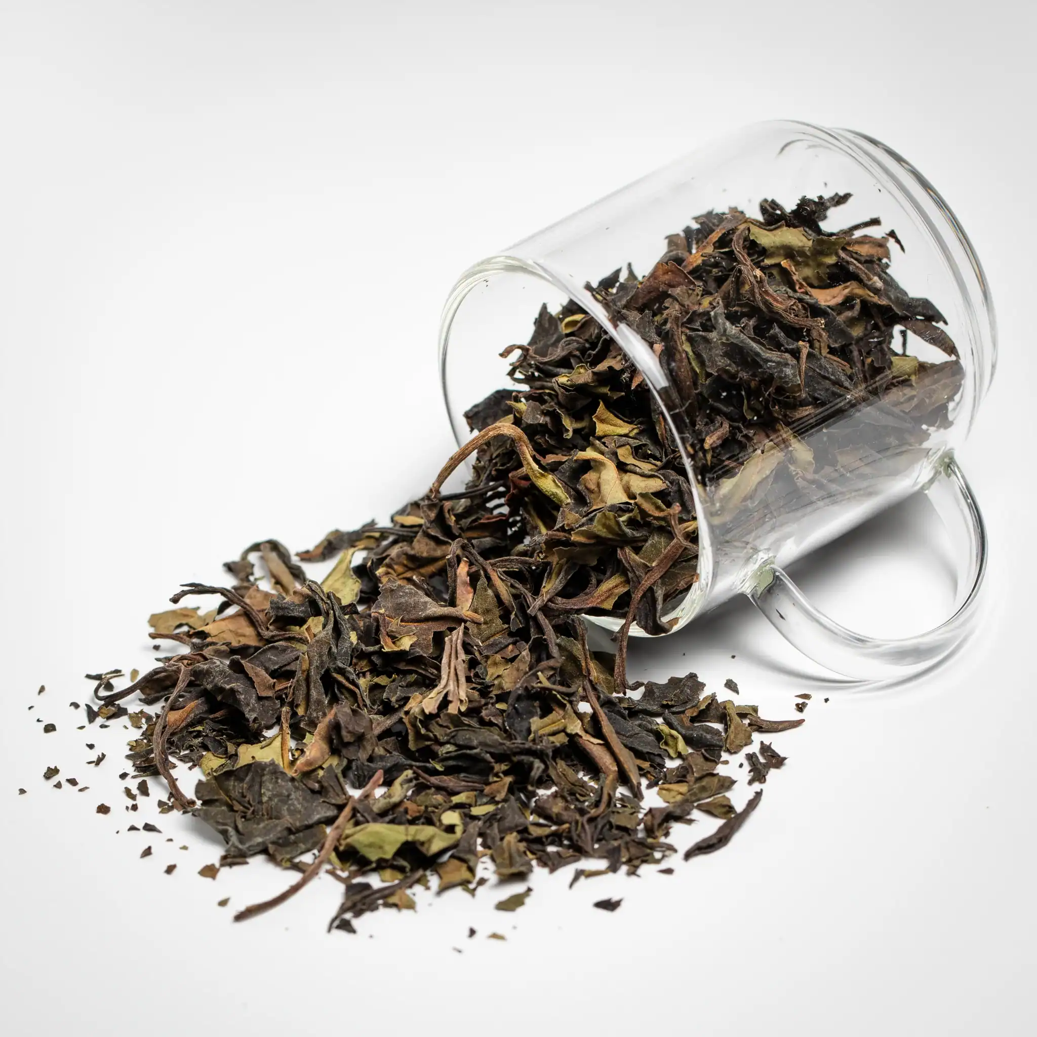 Aura Cup of Tea - Clackamas