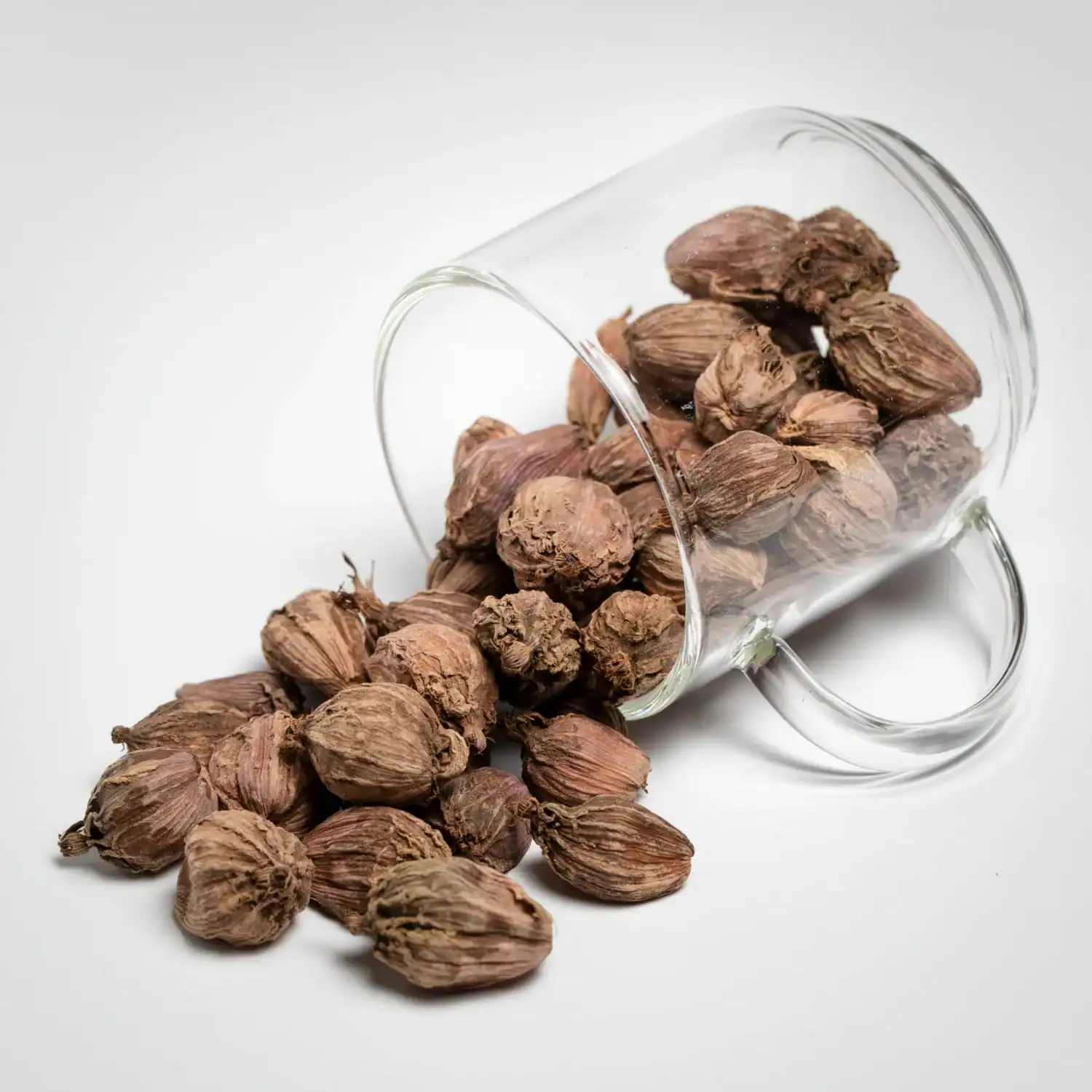 Purple Cardamom