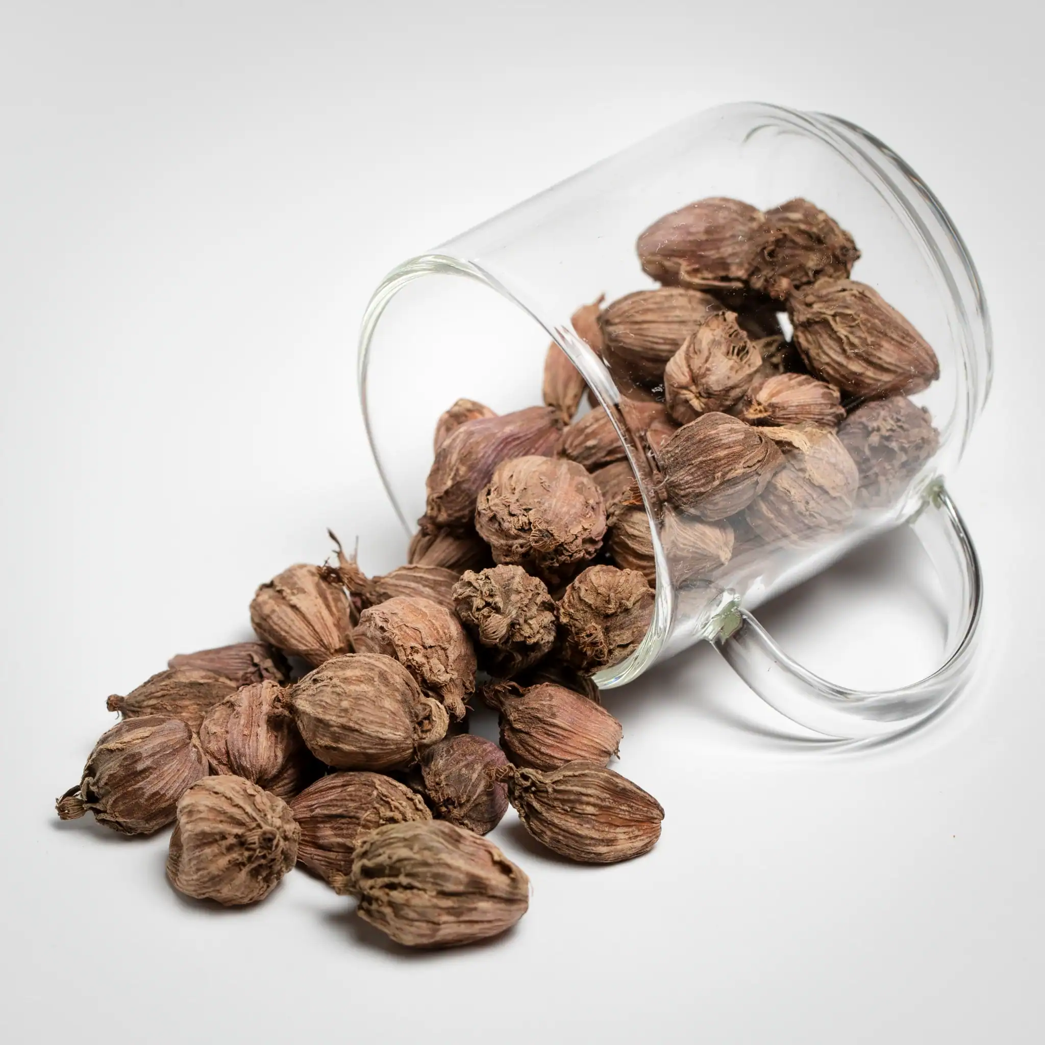Purple Cardamom